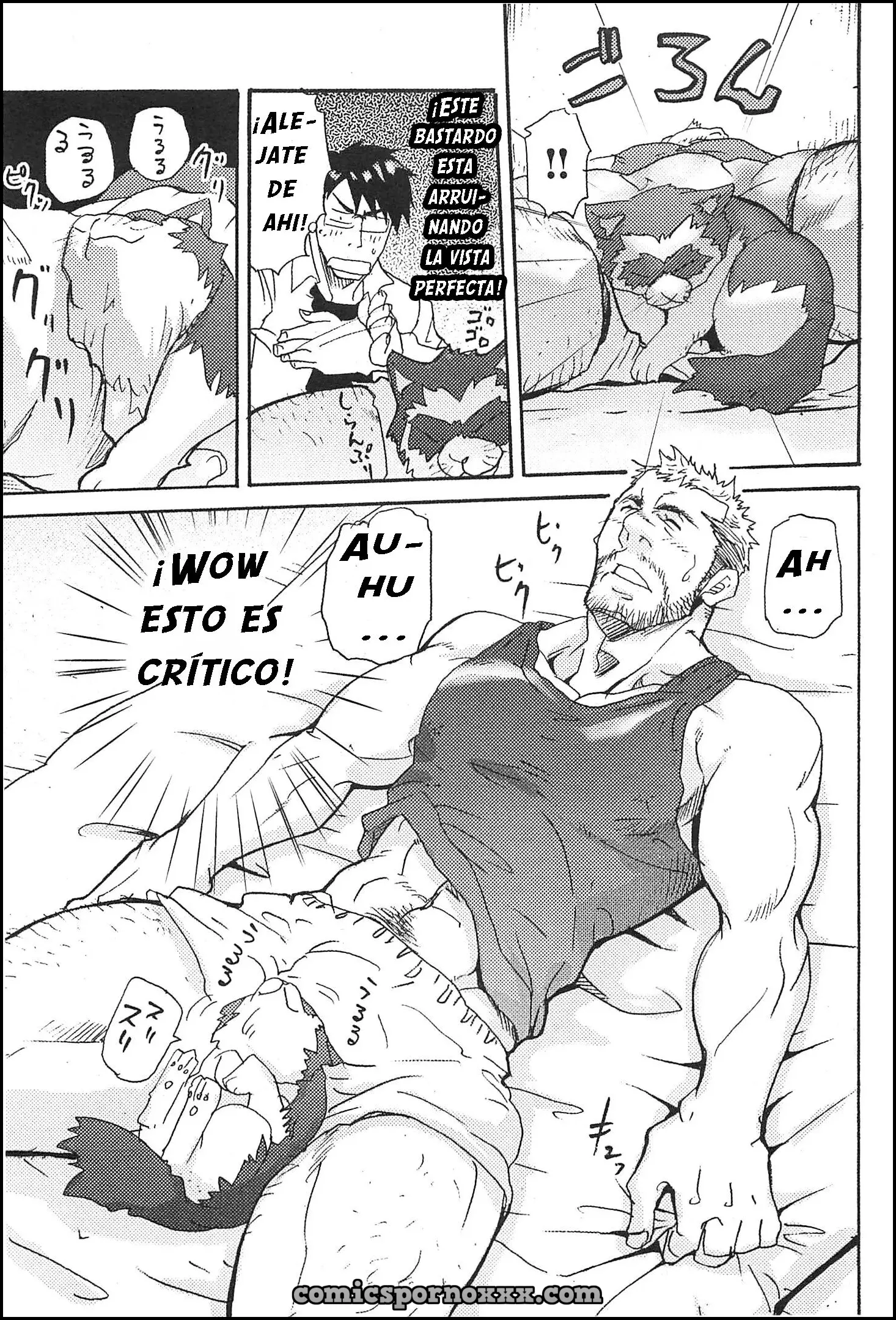 Ver - El Tanuki del Agujero de un Hombre - 1